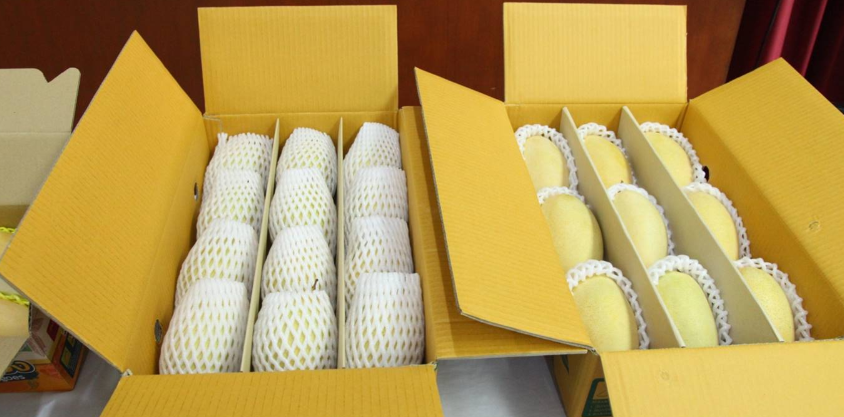 Thailand Fresh Mango - image_17.png