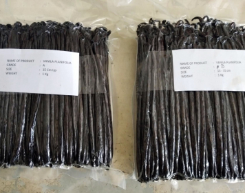 인도네시아 Vanilla - VN_IN_.jpg