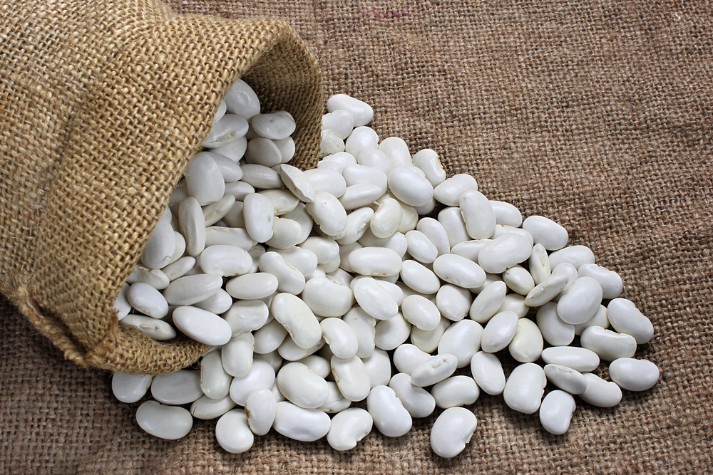 이집트 Dried White Beans - Egypt_-_Dried_White_Beans.jpg