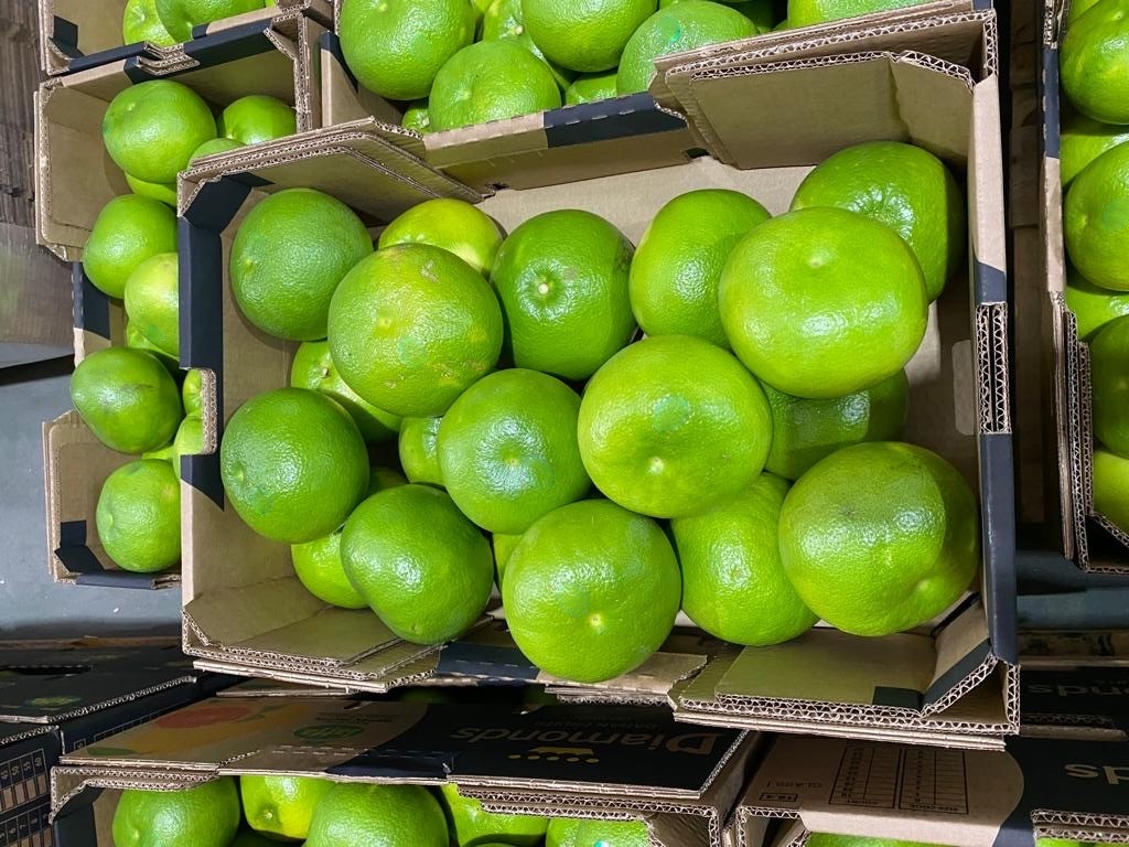 이스라엘 Fresh Grapefruit - PHOTO-2021-11-01-09-50-07.jpg