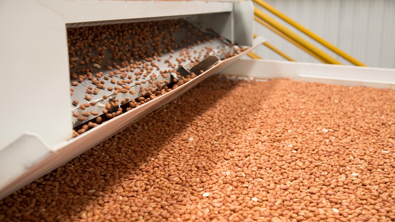 China Peanut Kernel - China-Peanut-Kernel-195587.jpg