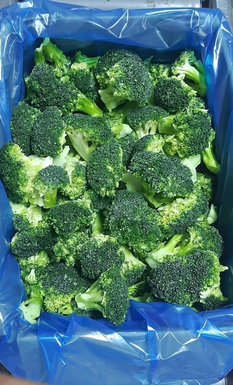 이집트 Frozen Broccoli - Image_from_iOS_7.jpg