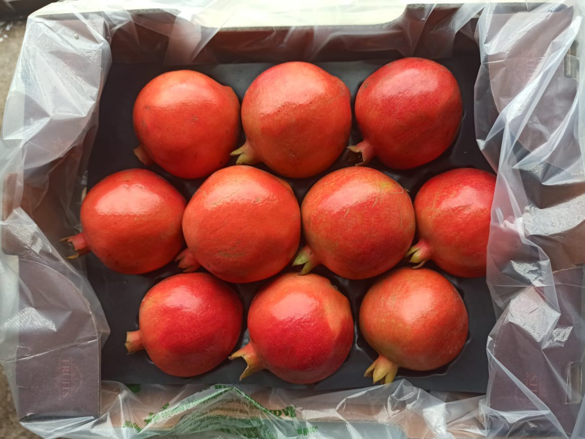 인도 Fresh Pomegranate - 21F.jpg