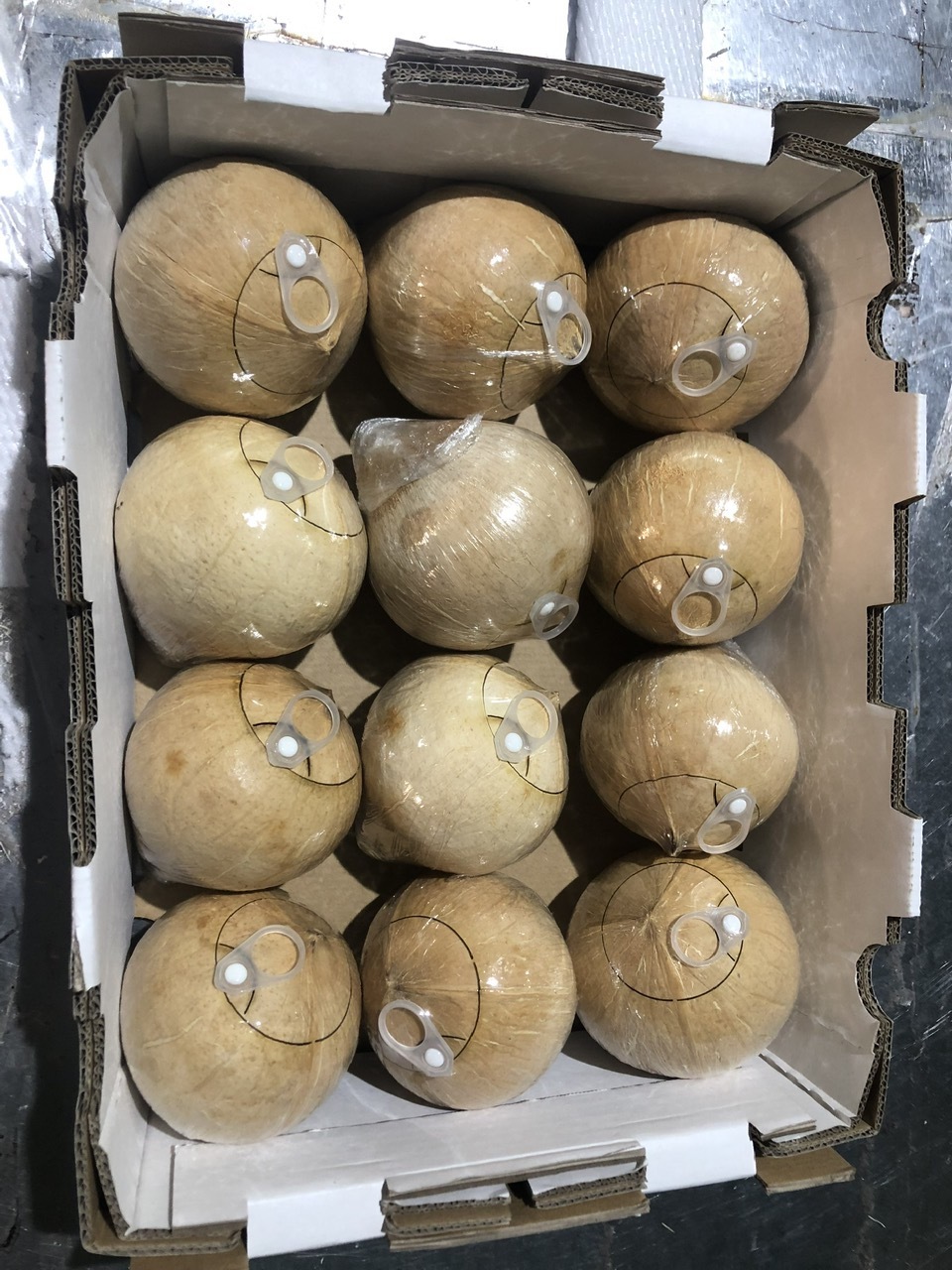 베트남 Fresh Young Coconut - Coconut_with_Eyelets_.jpg