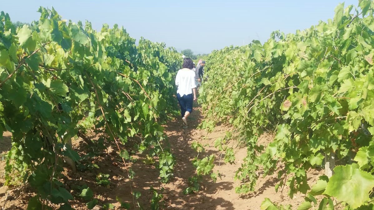 Turkiye Sultana - 4.jpeg