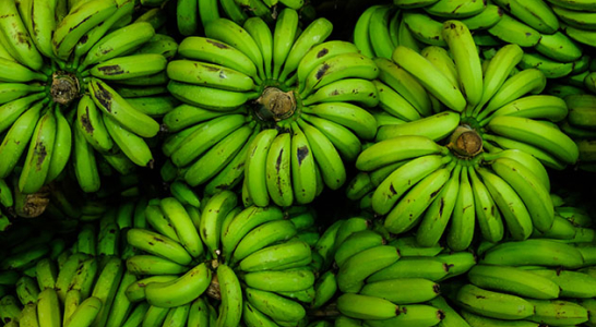 필리핀 Fresh Banana - f942c7560.jpg