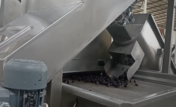 우즈베키스탄 Raisin (Dried Grape) - %EC%8A%A4%ED%81%AC%EB%A6%B0%EC%83%B7_2023-07-26_155907.png