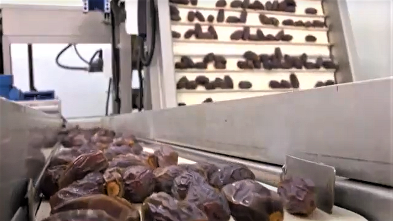 이스라엘 Dried Date - IL_Date_processing.png