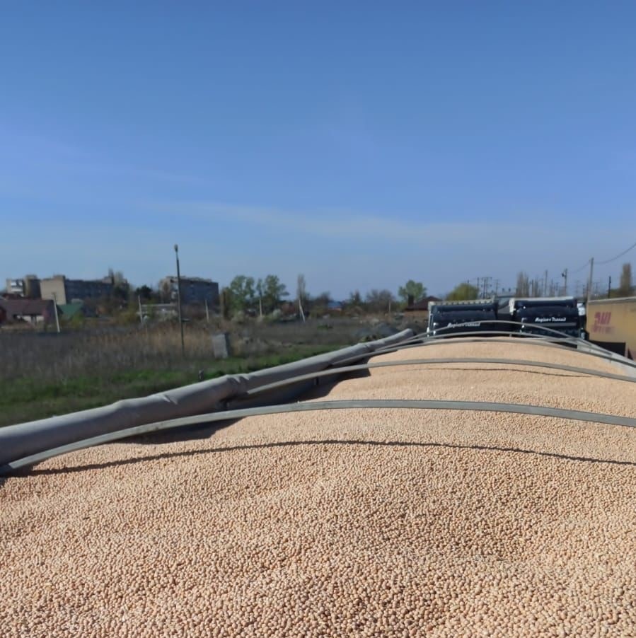 러시아 Dried Chickpea - sresdf.jpg