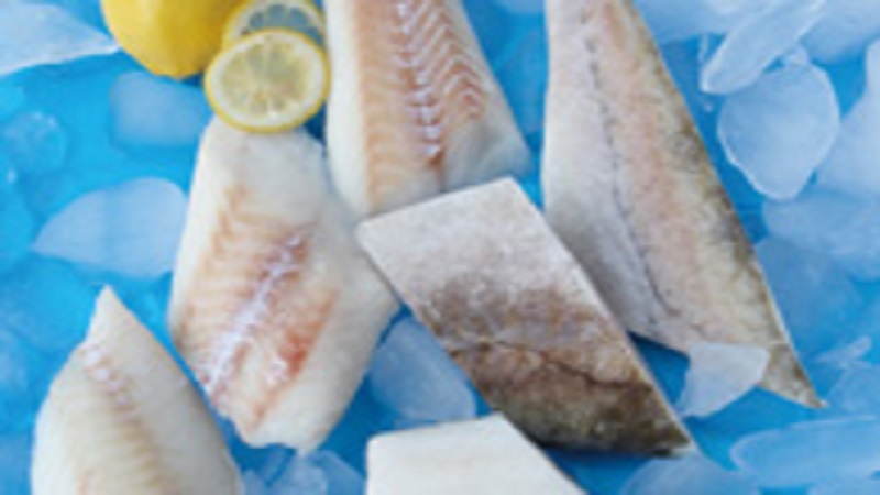 중국 Frozen Cod Fillet - CN_Cod_pacific.jpg
