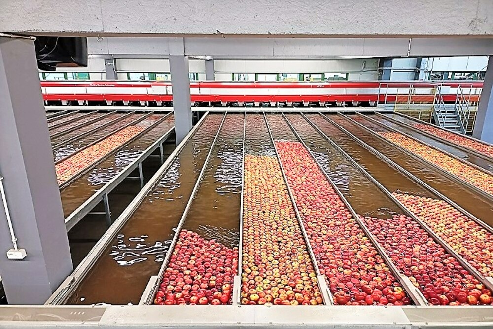 폴란드 Fresh Apple - Polishapple_factory2_1.jpg