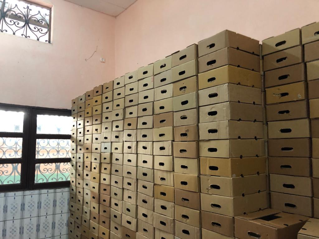 카메룬 Fresh Banana - Boxes_for_products_2.jpeg