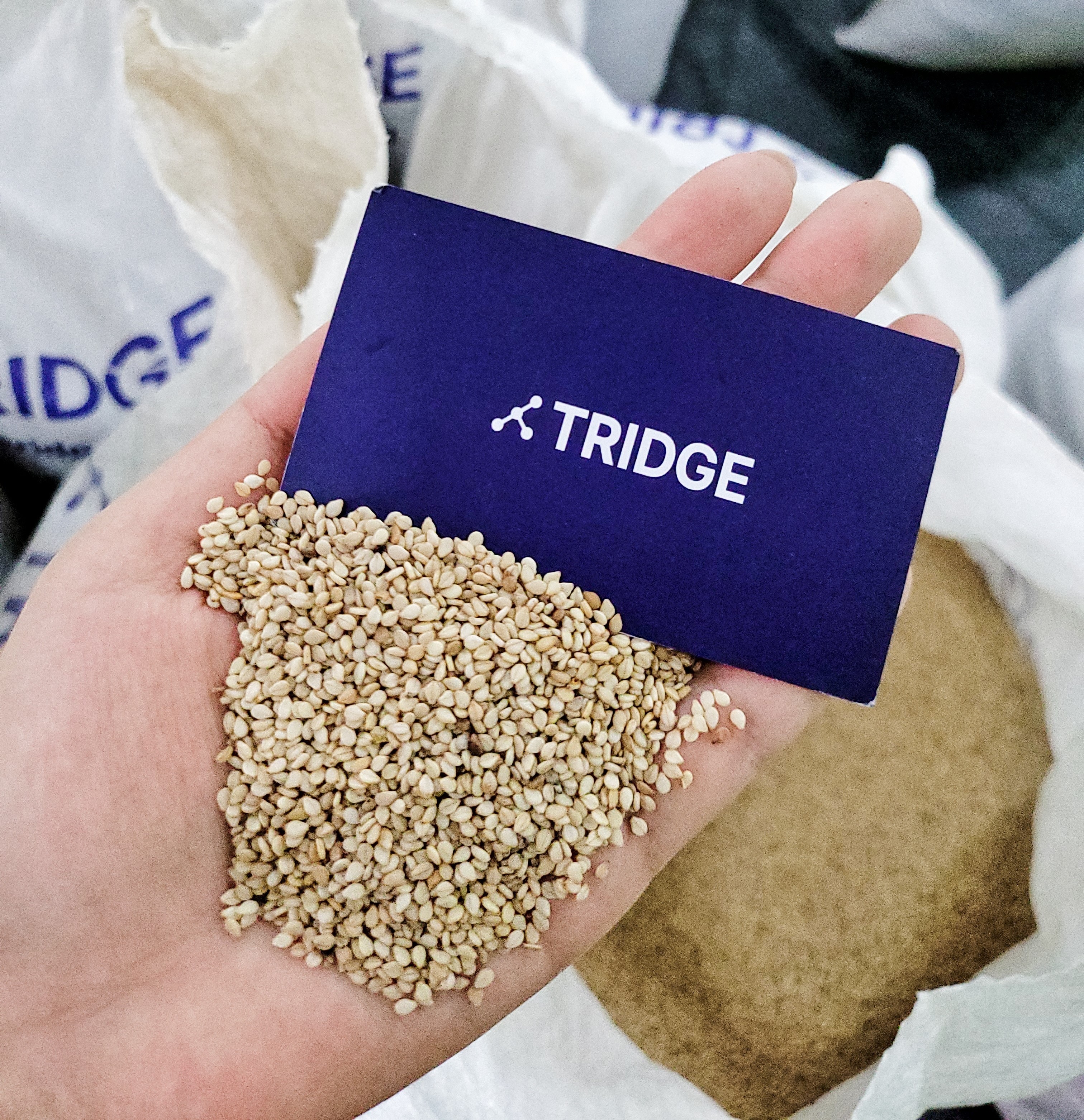 Tanzania Sesame Seed - KakaoTalk_20220623_051543791_02.jpg