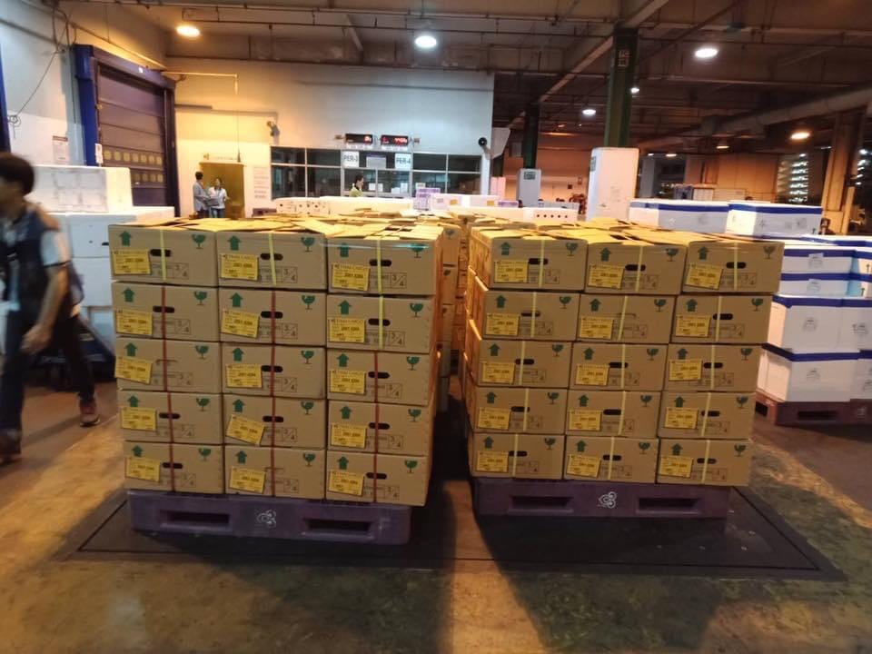 태국 Fresh Common Durian - Thailand-Monthong-Durian-734205.jpeg