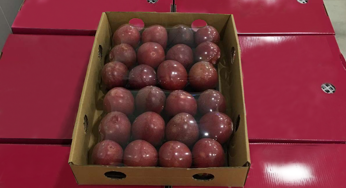 베트남 Frozen Passion Fruit - Passionfruit_Grade1_VN_1.png