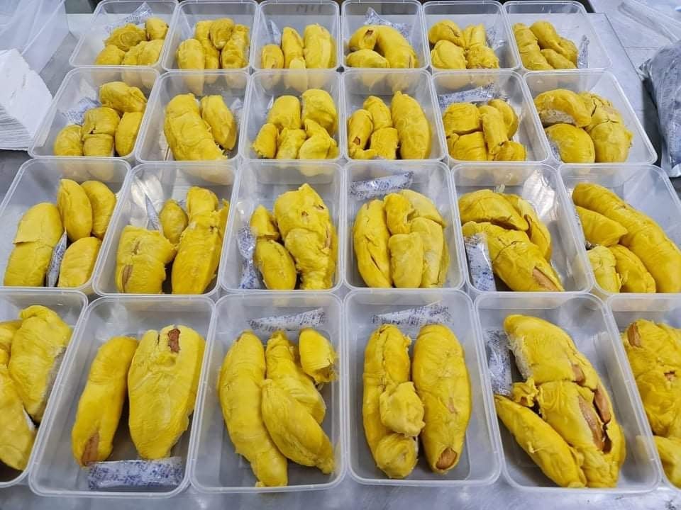 말레이시아 Frozen Common Durian - Malaysia-Frozen-Common-Durian-538878.jpg