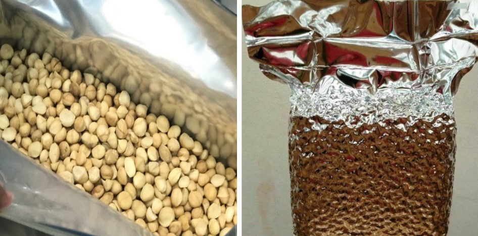 Kenya Macadamia Kernel - final.jpg