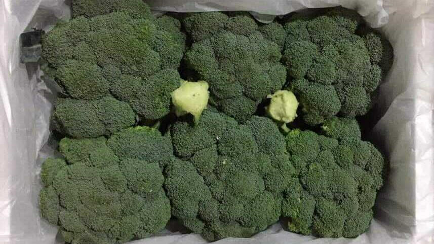 이집트 Frozen Broccoli - Egypt-Frozen-Broccoli-702243.jpg