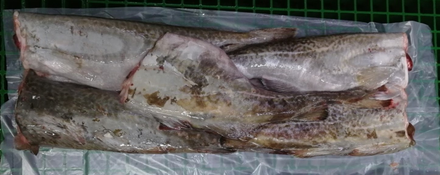 Russia Frozen Cod - frozen-cod-russ.jpg