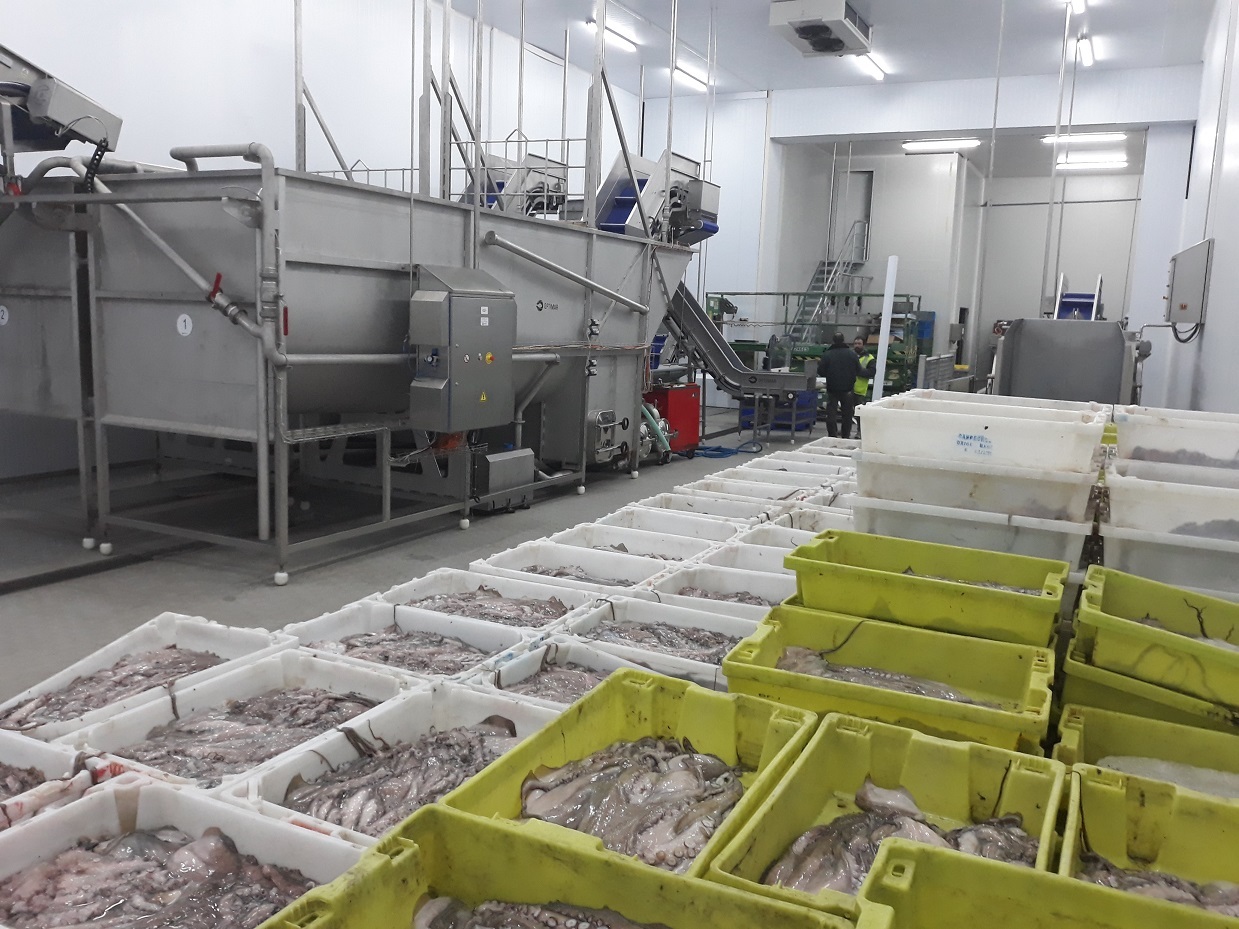 Portugal Frozen Octopus - WhatsApp_Image_2021-12-06_at_09.21.40.jpeg