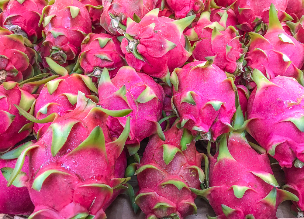 베트남 Fresh Dragon Fruit - shutterstock_1175259343.jpg