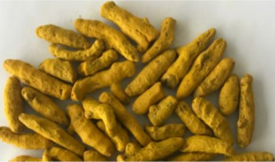 India Turmeric - turm3.PNG