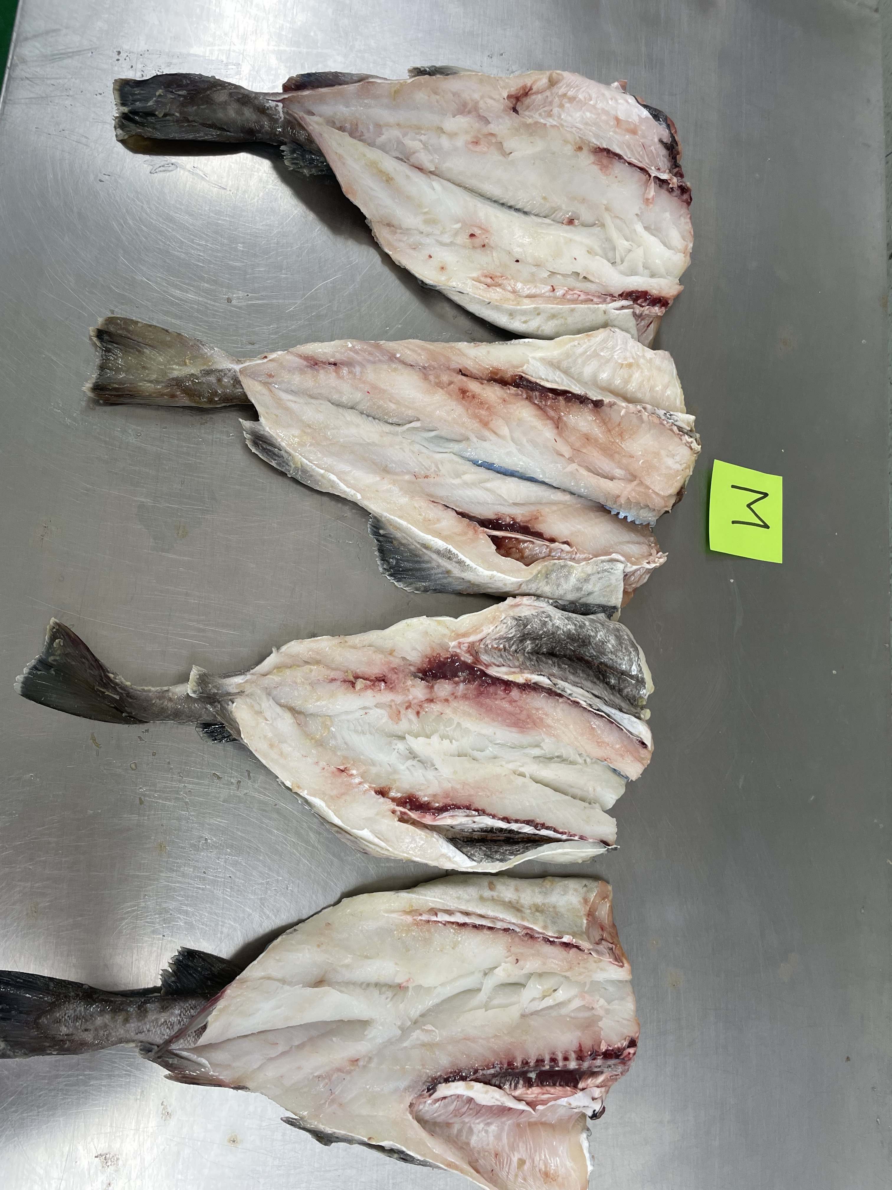 러시아 Frozen Whole Pacific Cod - cod_1.JPG