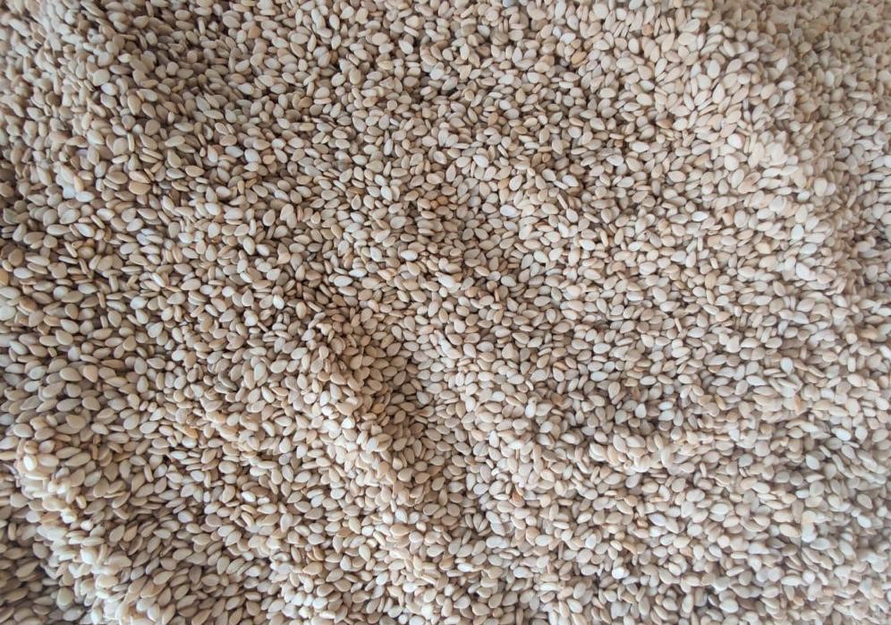 India Sesame Seed - India-Sesame-Seed-837039.jpg