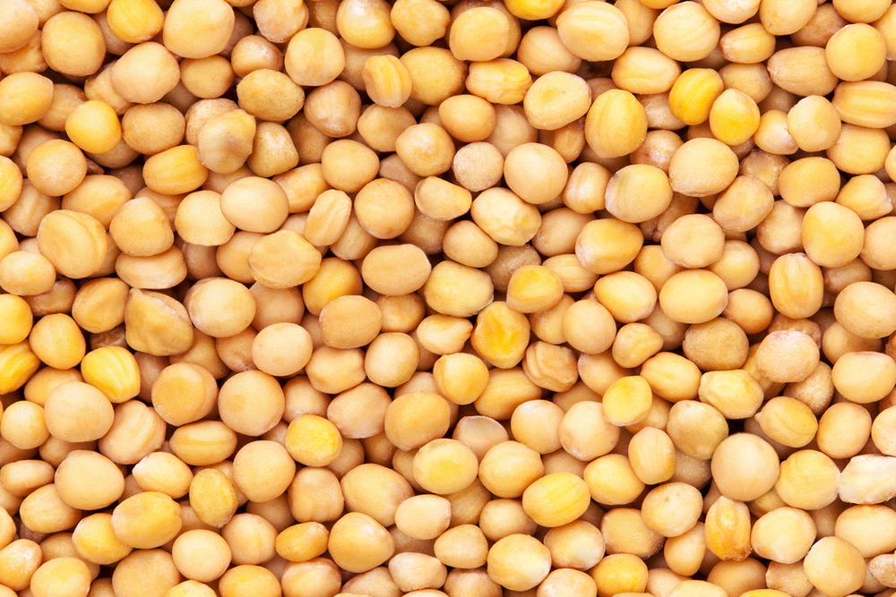 Ukraine Dried Yellow Pea - dried_yellow_pea_Ukraine_1.jpg