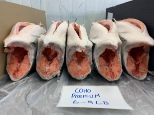 Chile Whole Frozen Coho Salmon - coho_salmon_premium_6-9_lbs.jpg