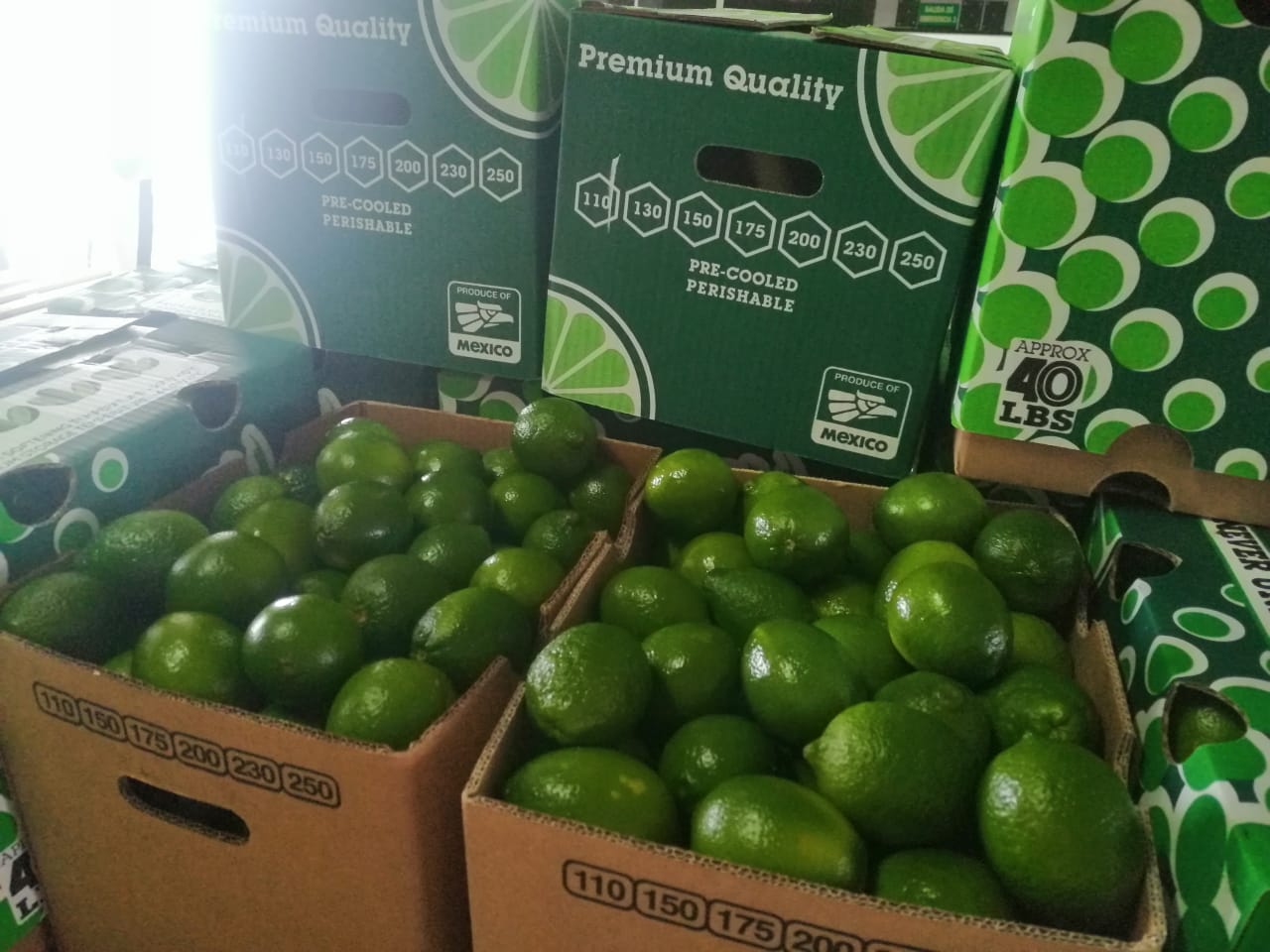 멕시코 Fresh Tahiti Lime - Mexico-Tahiti-Lime-594889.jpeg