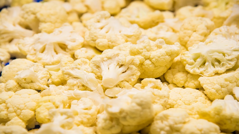 중국 Frozen Cauliflower - CN_Cauliflower_processing5.jpg
