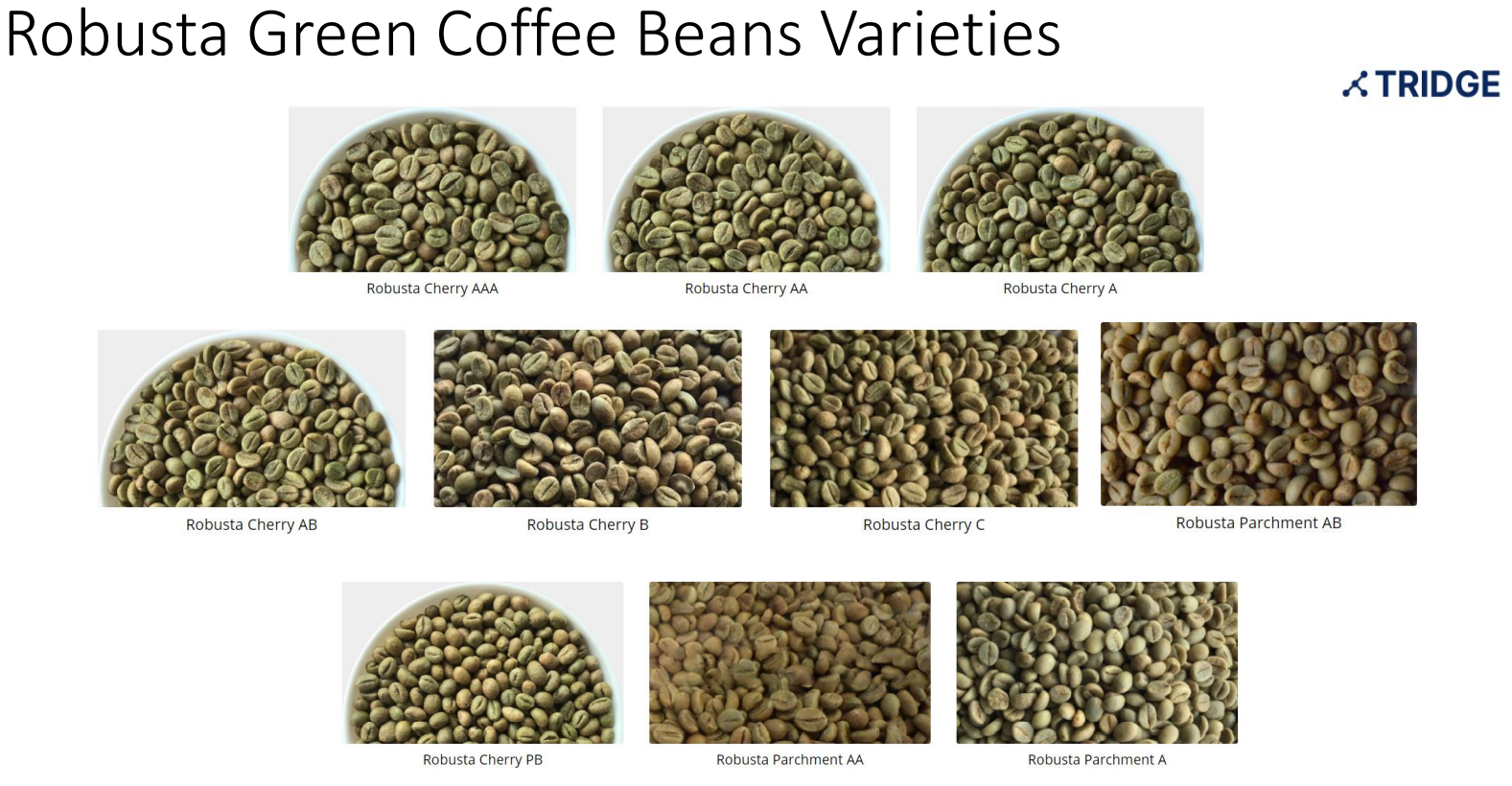 인도 Instant Coffee - robusta_coffee_varieties.PNG