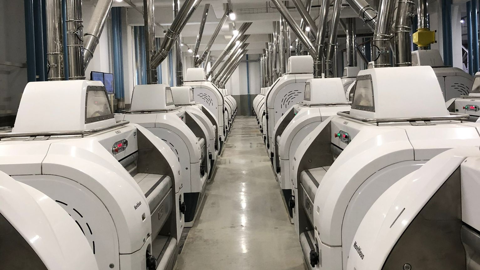 Turkiye Pasta - 1processing13.jpeg