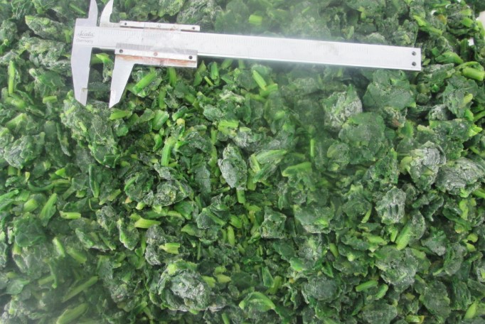에콰도르 IQF Chopped Spinach - Chopped_Spinach.jpg