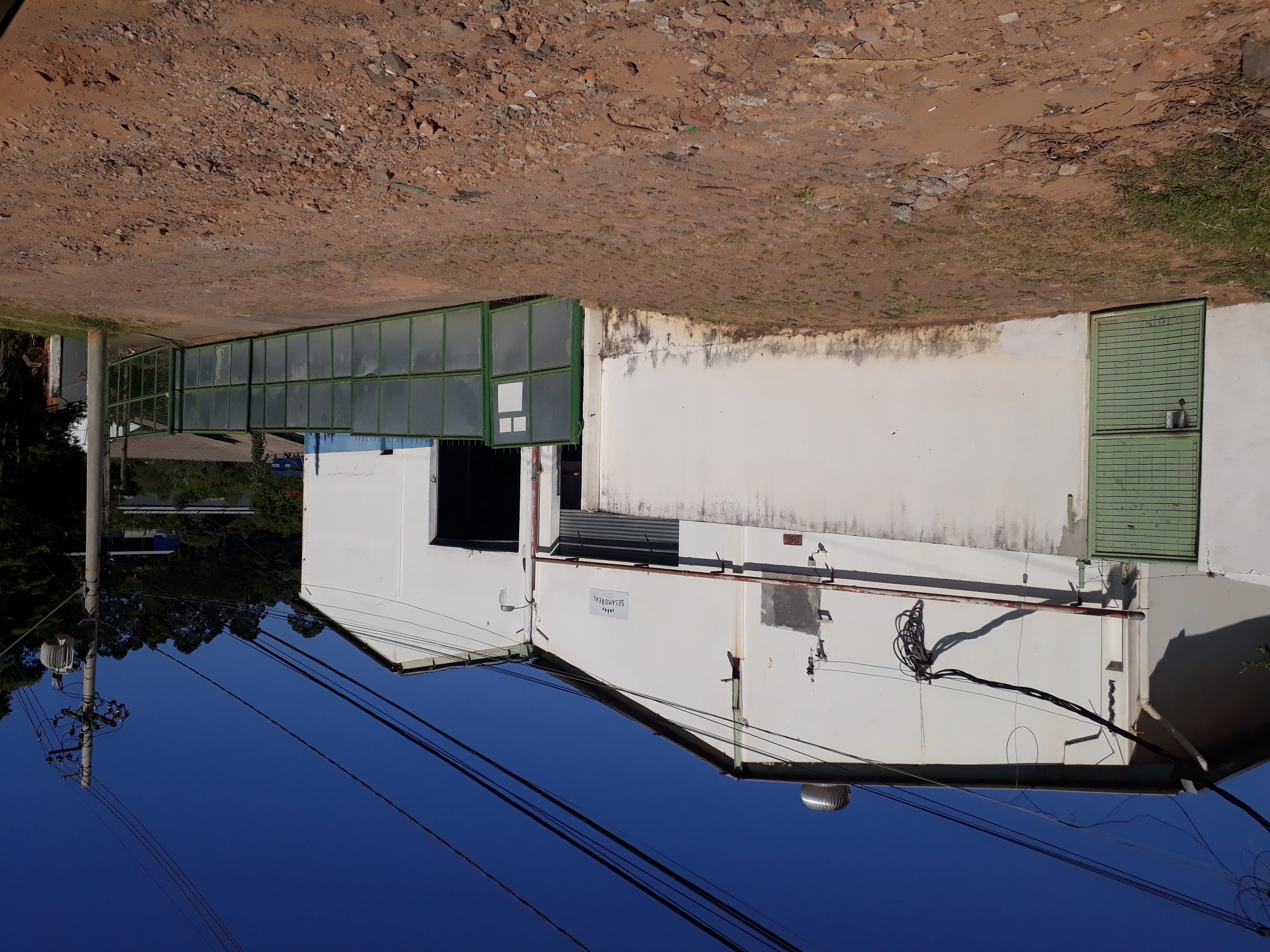 브라질 Sesame Seed - 20210210_090433.jpg