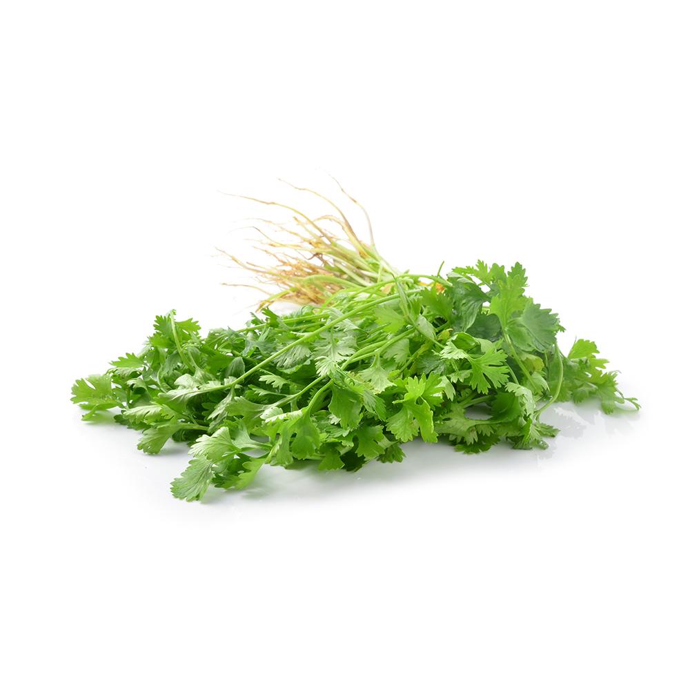 Coriander production and top producing countries Tridge