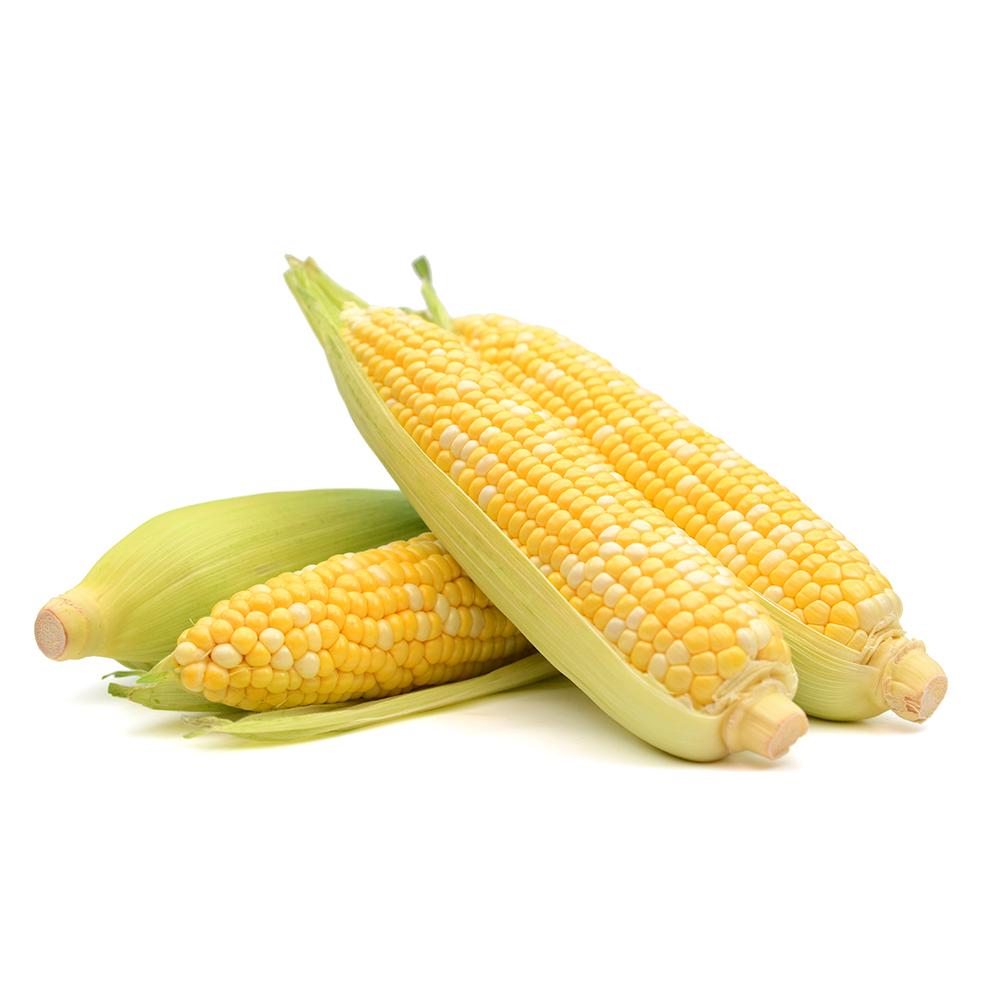 HS codes of Sweet Corn Tridge