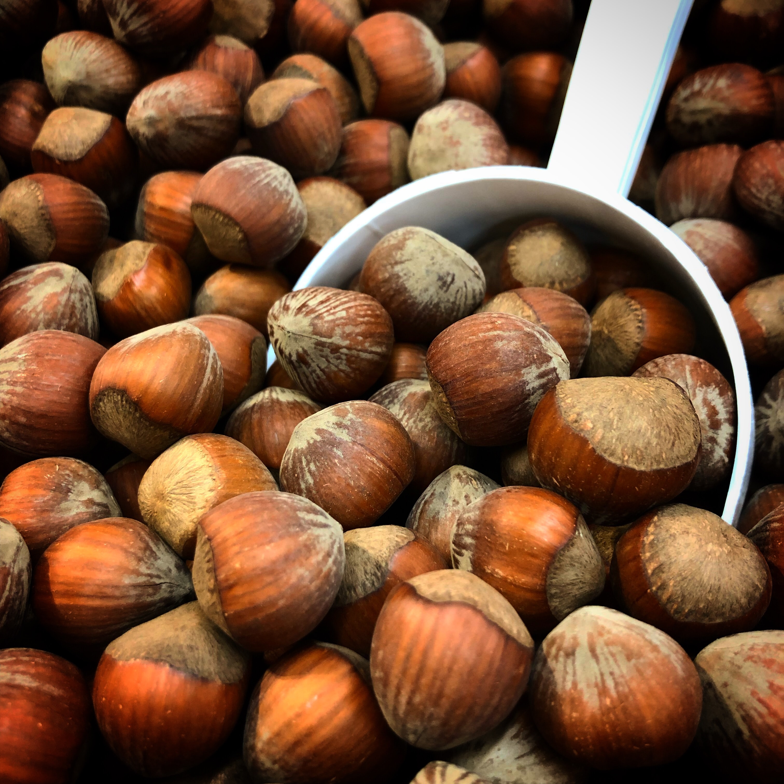Stable Demand for Turkish Hazelnuts in China