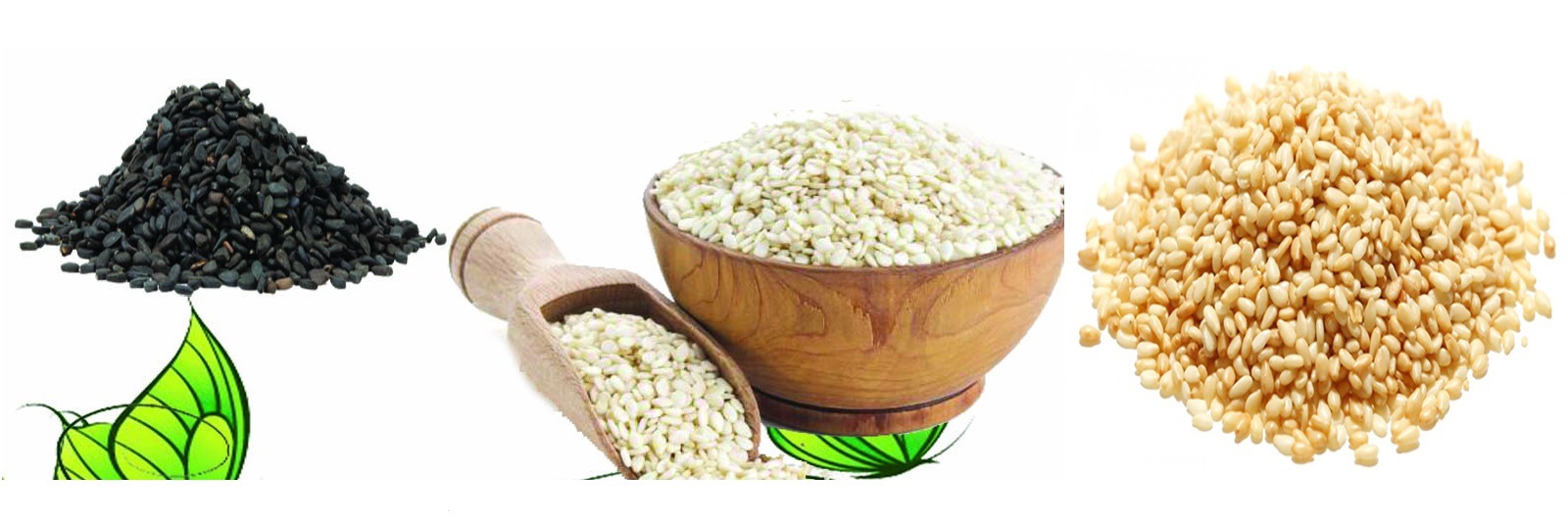 Ethiopia Sesame Seed market overview 2023
