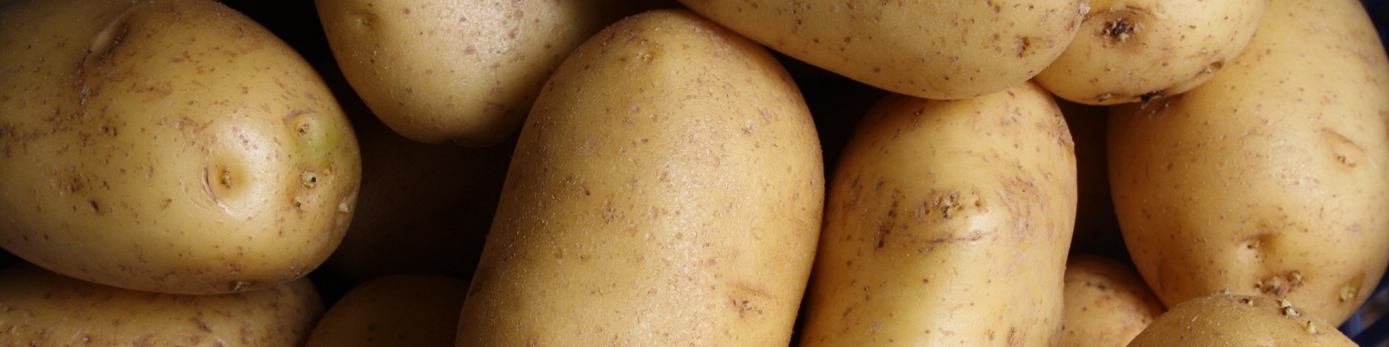 RecordHigh US Potato Prices Expected in 2022