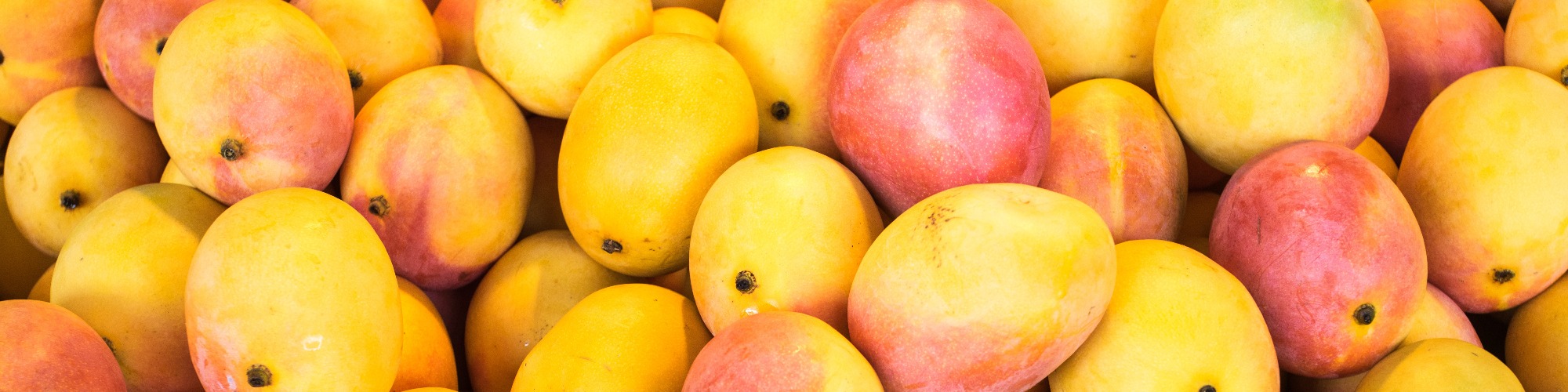 Global Overview of the OnGoing Mango Season 2021 Tridge