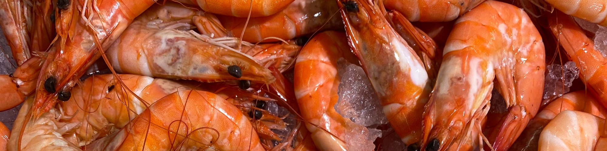 China's Frozen Shrimp Imports Up 71 So Far in 2022 Tridge