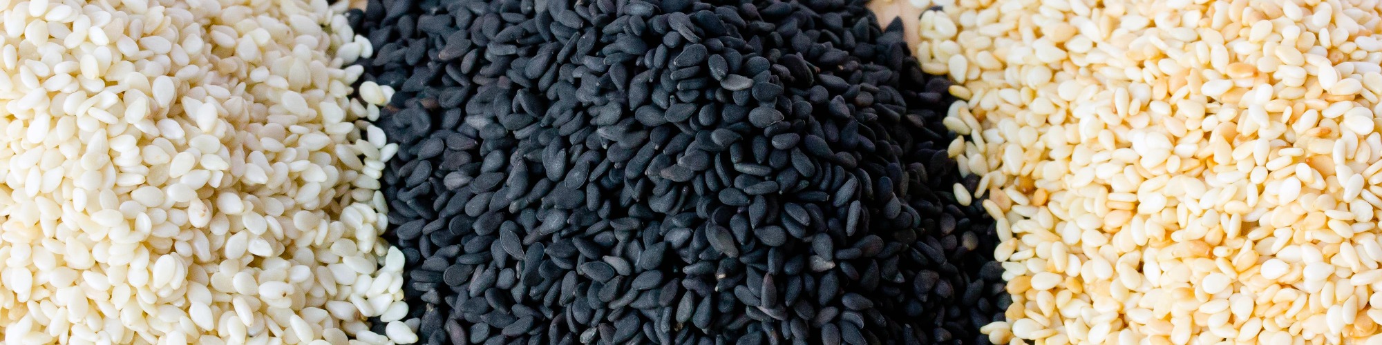 Delay‌ ‌in‌ ‌Uganda’s‌ ‌Sesame‌ ‌Seed‌ ‌Harvests‌ ‌in‌ ‌2019‌ Tridge