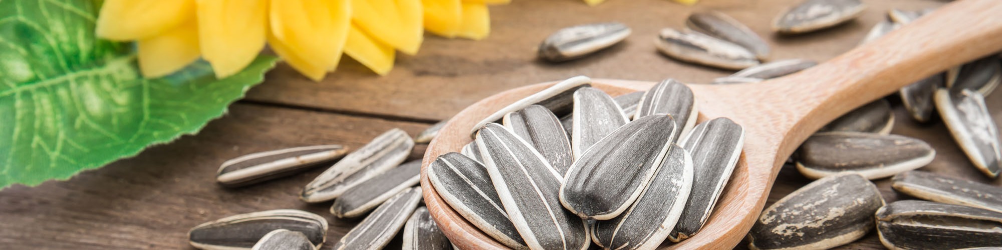 Improving Quality of Tanzanian Sunflower Seeds Tridge