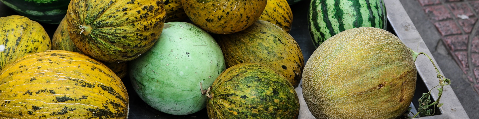 W42 Melon and Watermelon Update Tridge