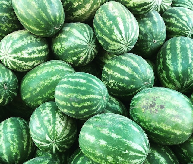 W1 Watermelon and Melon Update Mexico's Production Surged in 2023