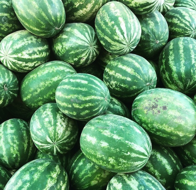 W48 Melon and Watermelon Costa Rican Melon Producers Exercise Caution